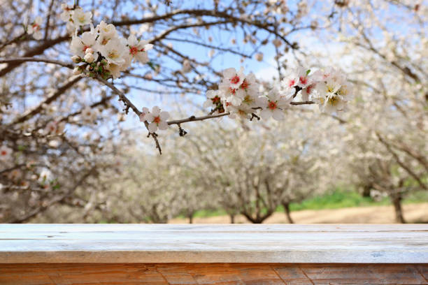 istock wooden table in front of spring blossom tree landscape. Product display and presentation 1134399026