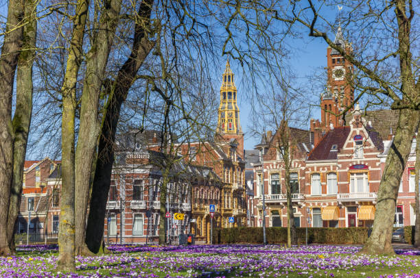 istock Church towers and crocuses in Groningen 1134406245