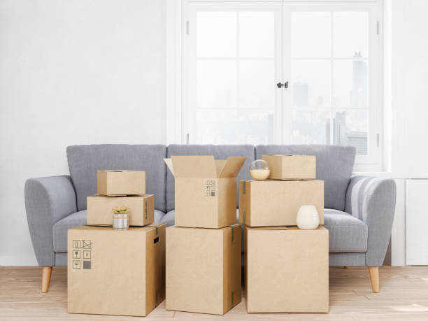istock Moving boxes and sofa at new apartment 1134407028