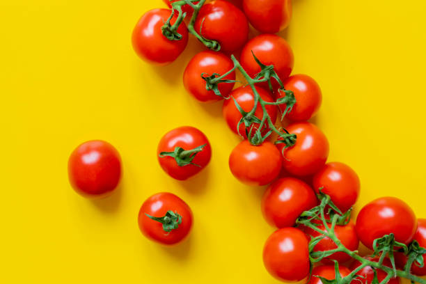 istock cherry tomato branch on yellow background isolated copy space design mockup b 1134407422