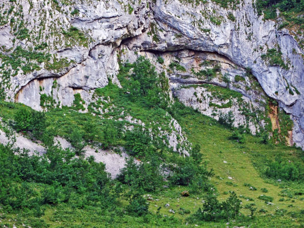 istock Stones and rocks of Alpstein mountain range 1134417756