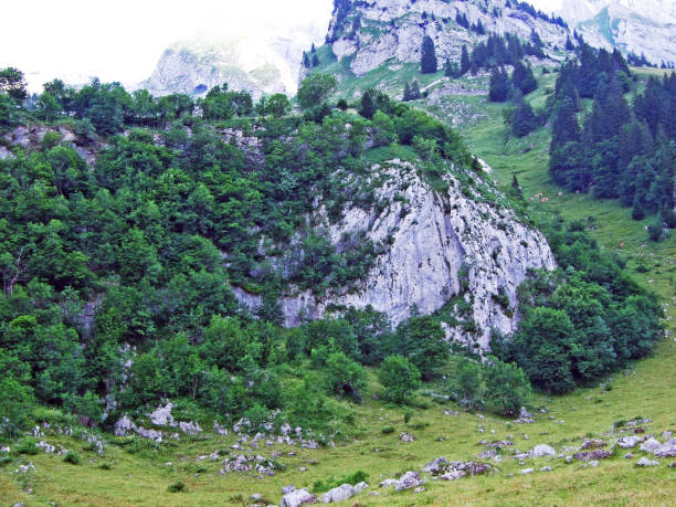 istock Stones and rocks of Alpstein mountain range 1134417831