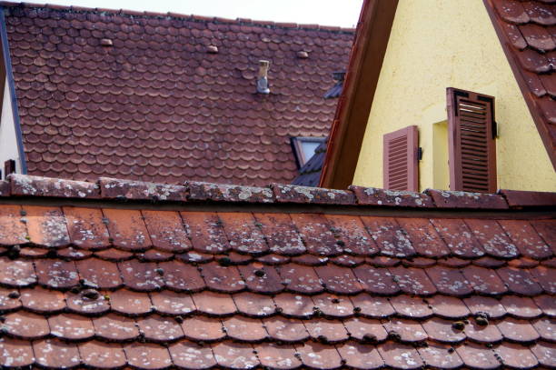 istock Old brick roofs with beaver tail roof tiles 1134421431