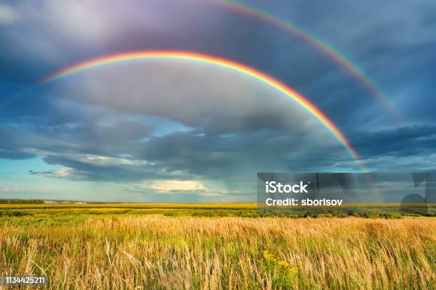 Rainbow Over Stormy Sky In Countryside At Summer Day Stock Photo - Download Image Now