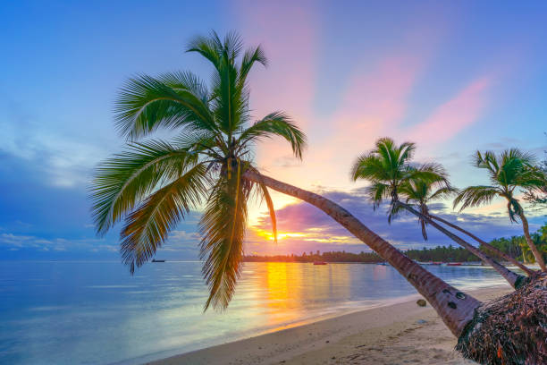 istock Sunrise over tropical beach 1134425222