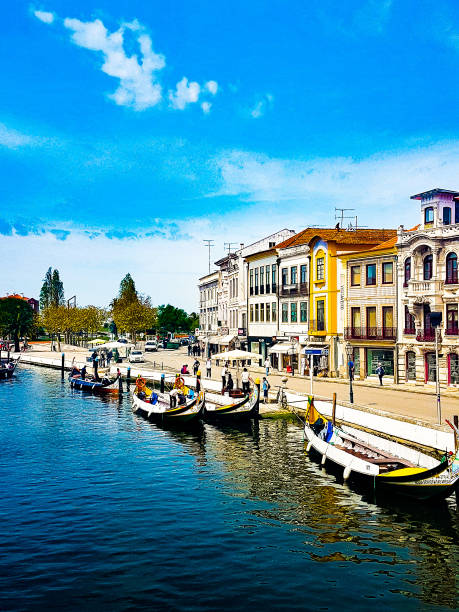 istock Aveiro, Portugal 1134425392