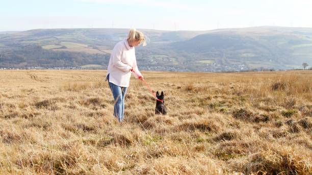 istock young woman and her dog walking 1134426269