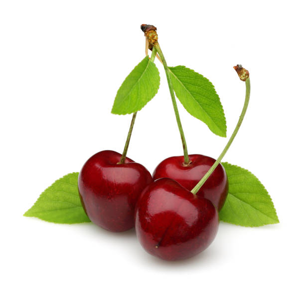 istock Ripe red cherries with green leaves isolated 1134427330