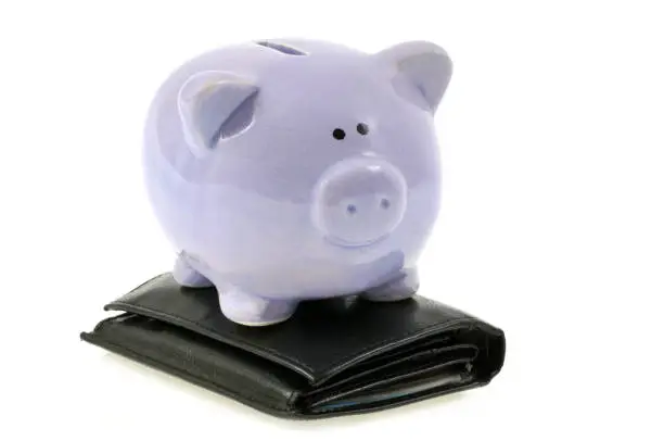 Photo of Piggy bank placed on a potrefoil