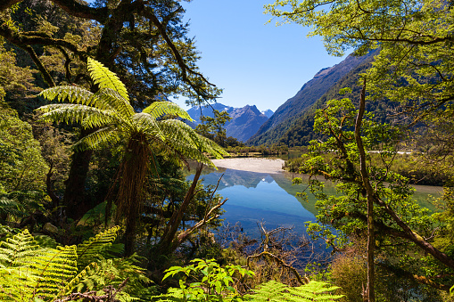 Situated on the west coast of the South Island, Milford Sound / Piopiotahi is a must-see with its towering peaks, cascading waterfalls and jaw-dropping views.