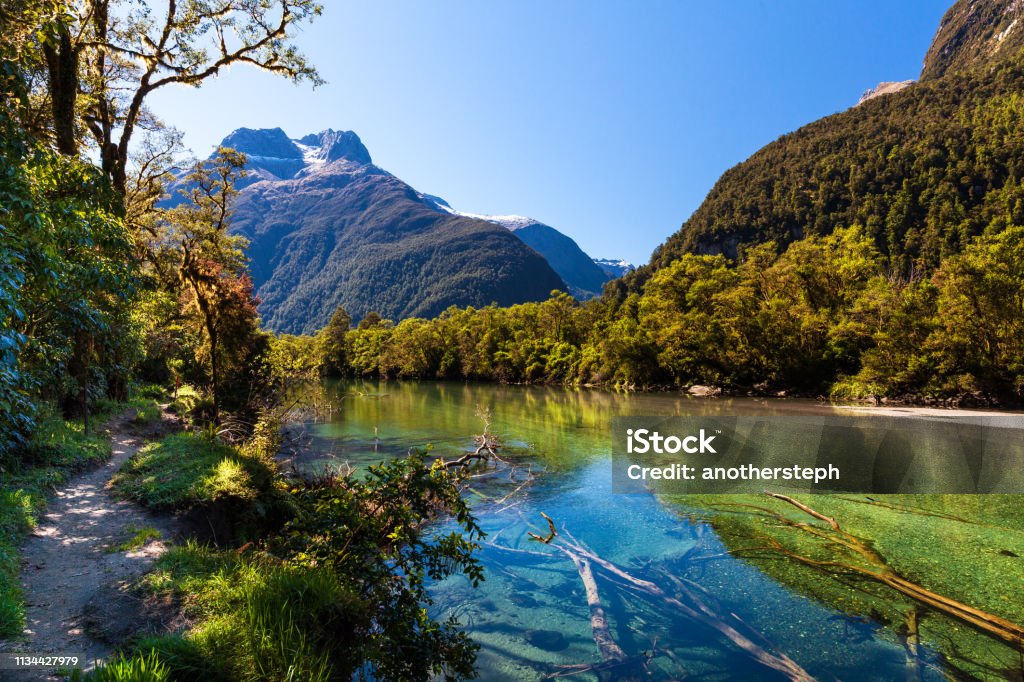 Đường đua Milford ở Công viên Quốc gia Fiordland, New Zealand - Trả phí Bản quyền Một lần Milford Track Bức ảnh sẵn có Đường đua Milford ở Công viên Quốc gia Fiordland, New Zealand - Trả phí Bản quyền Một lần Milford Track Bức ảnh sẵn có