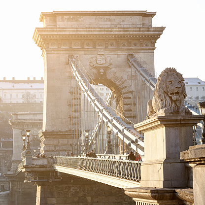 Lion head detail of Szechenyi Chain Bridge in Budapest.