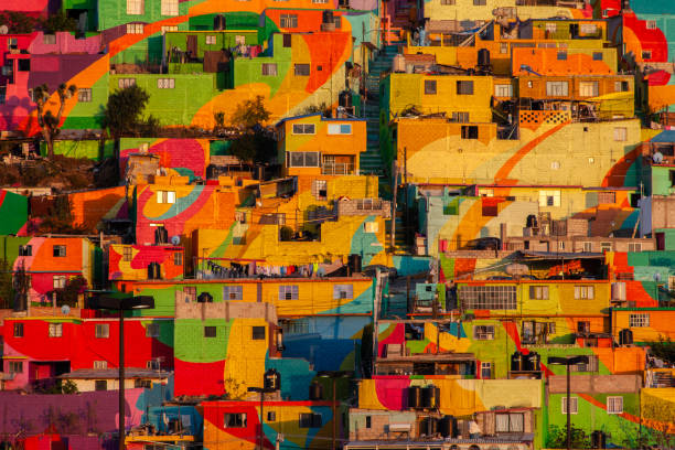 istock Las Palmitas in Mexico 1134431605