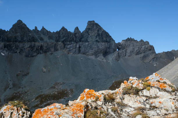 스위스의 산 필름 락 스, 유럽 - landscape laax graubunden canton switzerland 뉴스 사진 이미지