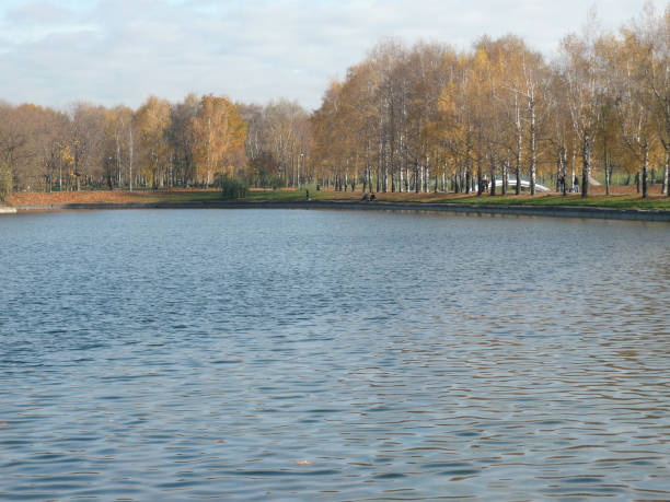 istock autumn in city park 1134436945