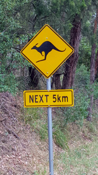 istock Road and Traffic Signs 1134438326