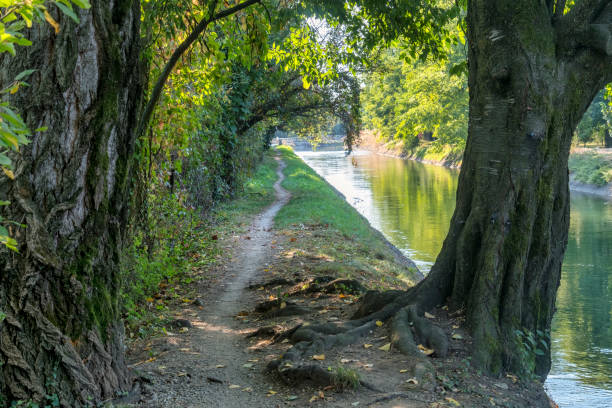 istock Milan (Italy): path along Villoresi canal 1134441060