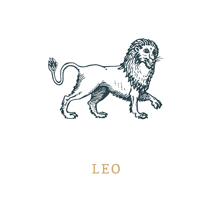 Leo zodiac symbol, hand drawn in engraving style. Vector graphic retro illustration of astrological sign Lion