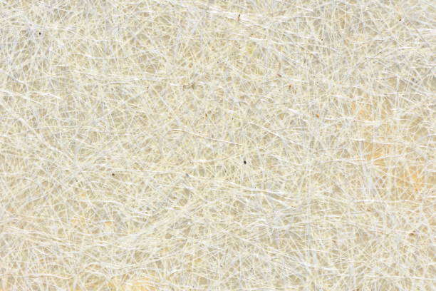Background of white fibers