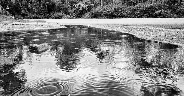 rings in the puddle of water caused by raindrops