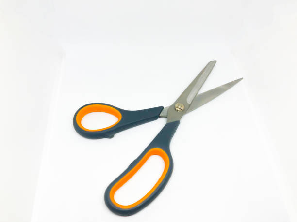istock Kinds of scissors 1134450860