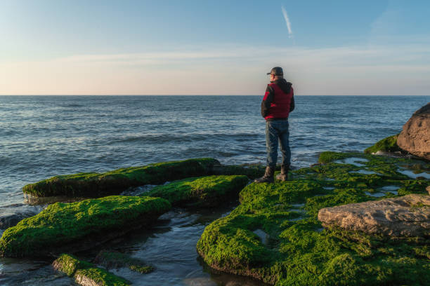 Traveler on a rocky seashore overgrown with green algae