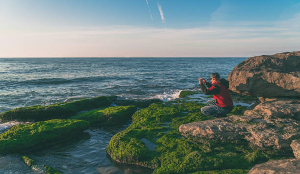istock Traveler on a rocky seashore overgrown with green algae taking pictures 1134451313