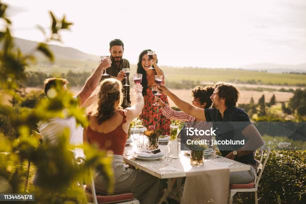 Group Of People Toasting Wine During A Dinner Party Stock Photo - Download Image Now