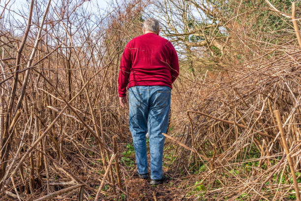 istock Senior Caucasian man in woodland 1134459400