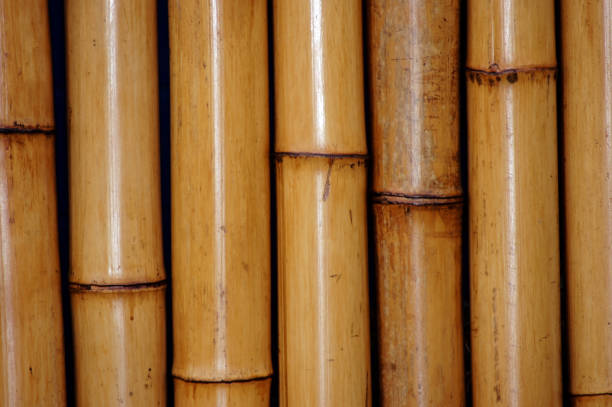 istock Close-up bamboo as a picture background 1134459763