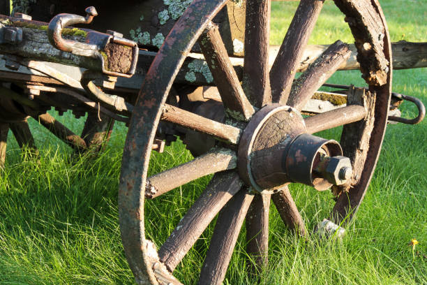 istock Old wooden cart wheel 1134463177