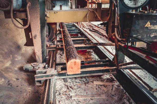 istock Sawmill. Process of machining logs in sawmill machine saws the t 1134467299