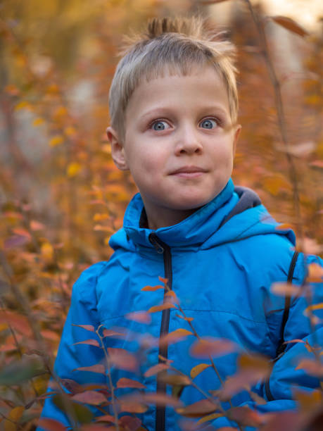 istock Surprised boy in autumn Park 1134470171
