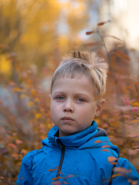 istock Sad boy in autumn Park 1134470200