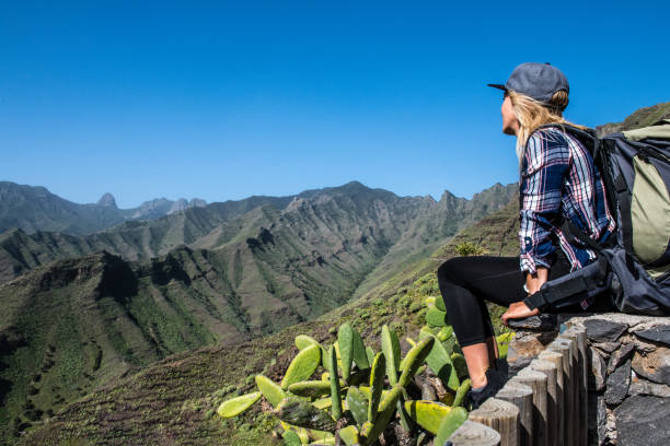 mujer joven mirando la vista de un hermoso valle en la isla canaria - tenerife spain national park canary islands fotografías e imágenes de stock