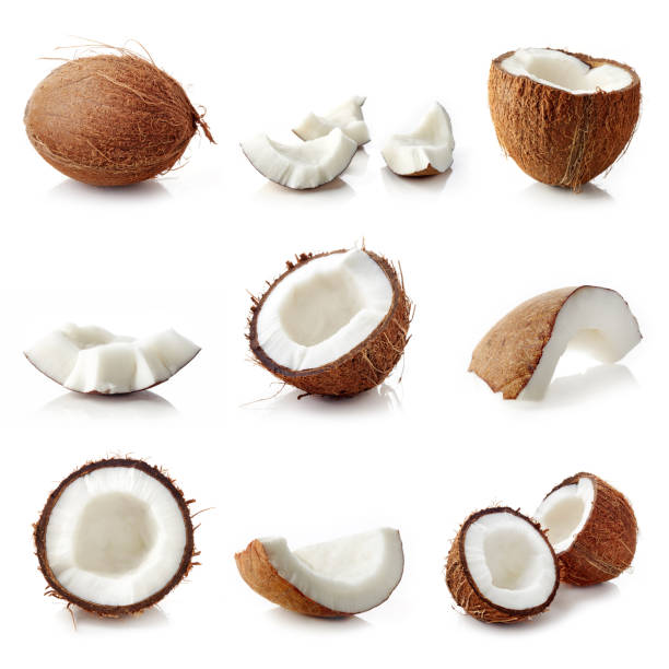 istock Set of coconut pieces isolated on white 1134477321