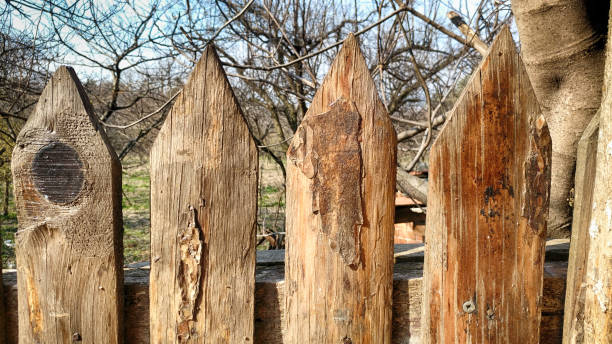 istock Garden Fences 1134477402