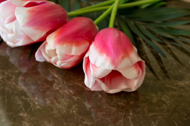 istock bouquet of pink tulips 1134477437