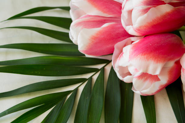 istock bouquet of tulips on a green leaf 1134477462