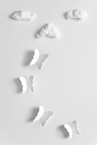 White paper butterflies and fluffy clouds on a white solid background. Minimal concept.