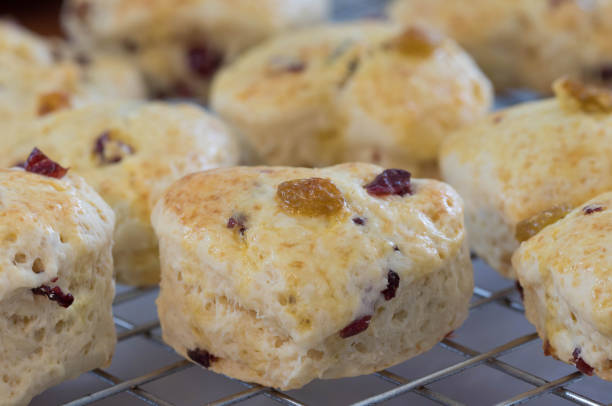 istock Raisin Scone on sieve after baked from oven 1134479282