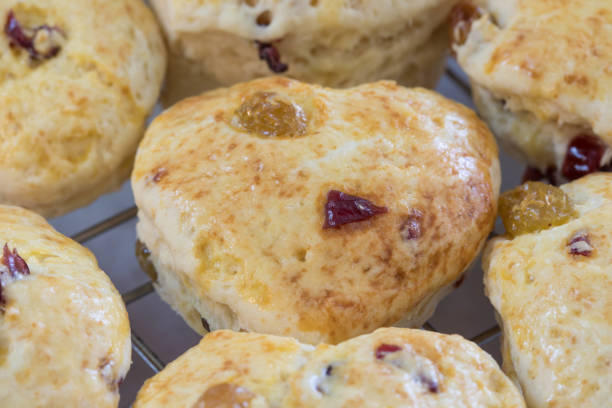 istock Raisin Scone on sieve after baked from oven 1134479307