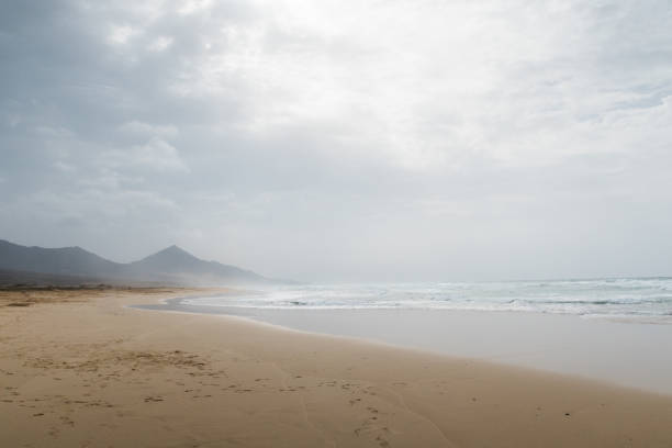 istock Beach Landscape with sand on a cloudy day 1134481561
