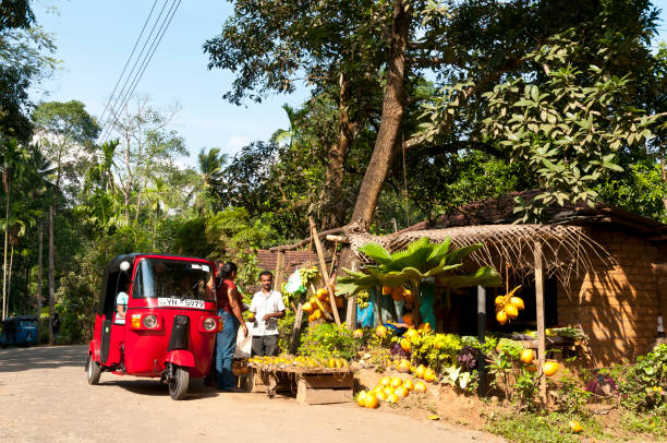 On the way on a country road. Street market with exotic fruits and vegetables. Passengers of a red Tuk-Tuk provide themselves with vegetable snacks. Sri Lanka On the way on a country road. Street market with exotic fruits and vegetables. Passengers of a red tuk-tuk provide themselves with vegetable snacks. Sri Lanka taxi sri lanka stock pictures, royalty-free photos & images