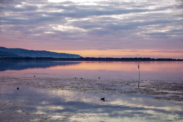 istock Lagoon Orbetello 1134482752