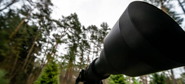 lente preta longa do zumbido com comprimento focal 150 milímetros a 600 milímetros em uma câmera mirrorless em um tripé - photography lens aperture sharp - fotografias e filmes do acervo
