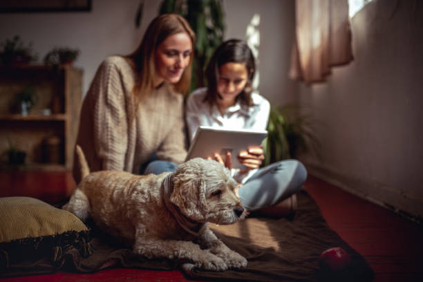 istock Happy family. 1134486699