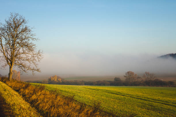 istock Country field landscape on autumn day 1134487856