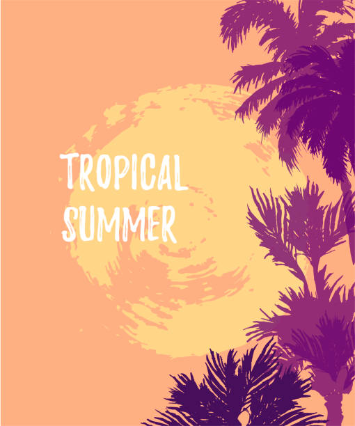 ÐÑÐ½Ð¾Ð²Ð½ÑÐµ RGB Sunset or sunrise with palm trees. Tropical summer. Place for your text. Vector illustration for party, invitation, flyer, poster, banner, web. banana borders stock illustrations