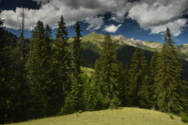 istock Peaks of the Balkans 1134493791